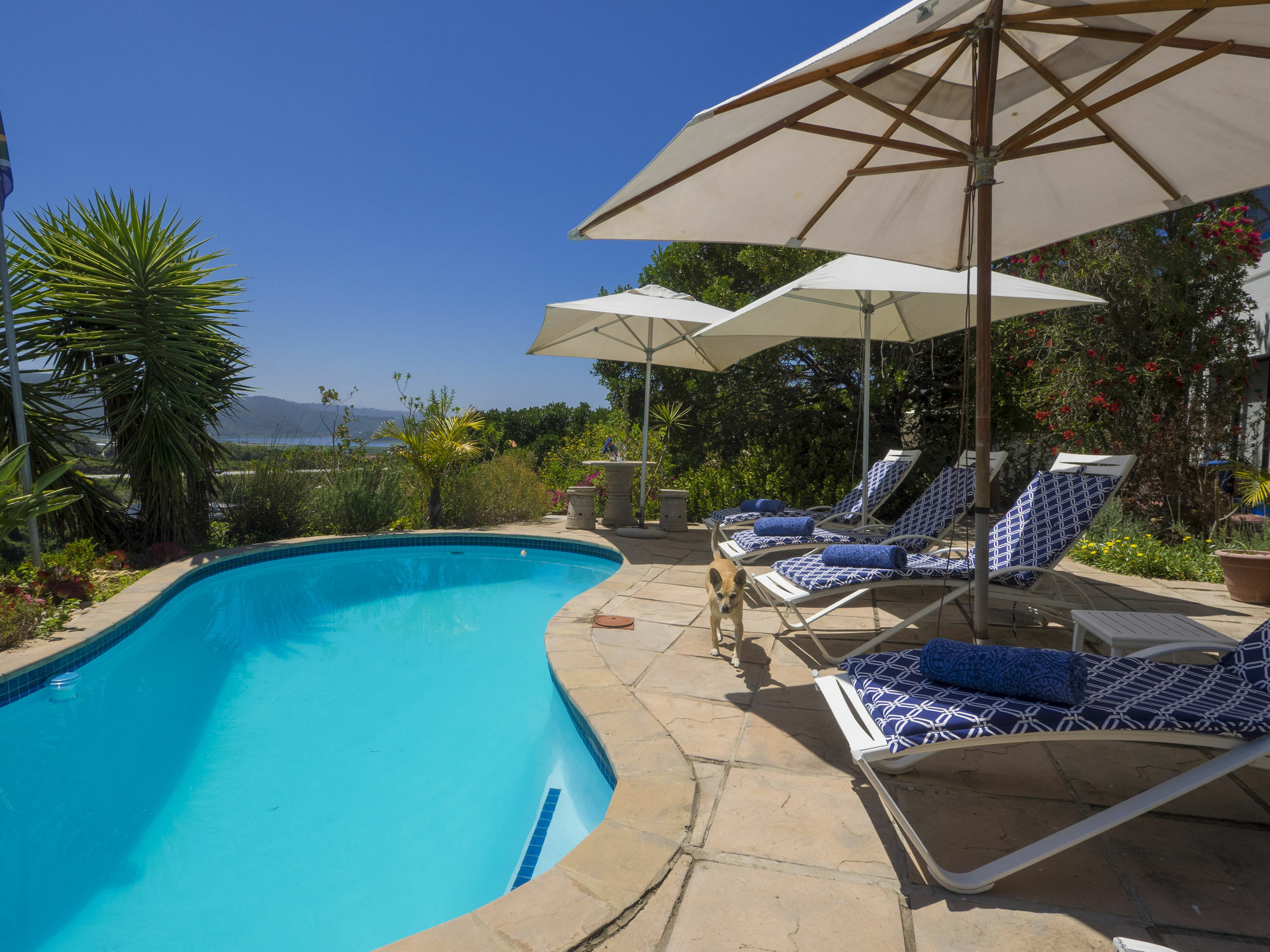 Shining Waters Guest House Wilderness Exterior foto