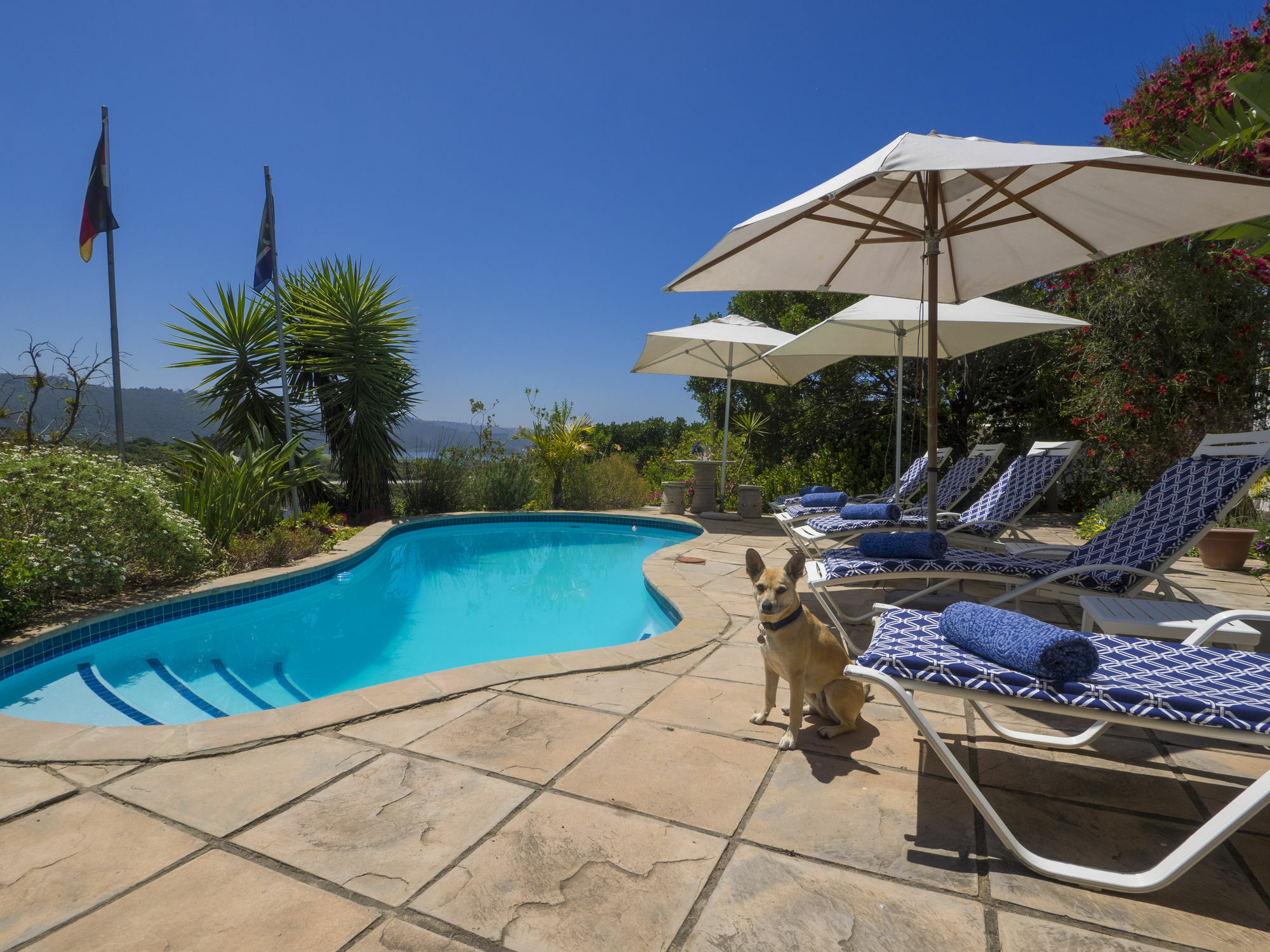 Shining Waters Guest House Wilderness Exterior foto